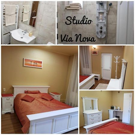 קלוז'-נאפוקה Studio Via Nova מראה חיצוני תמונה